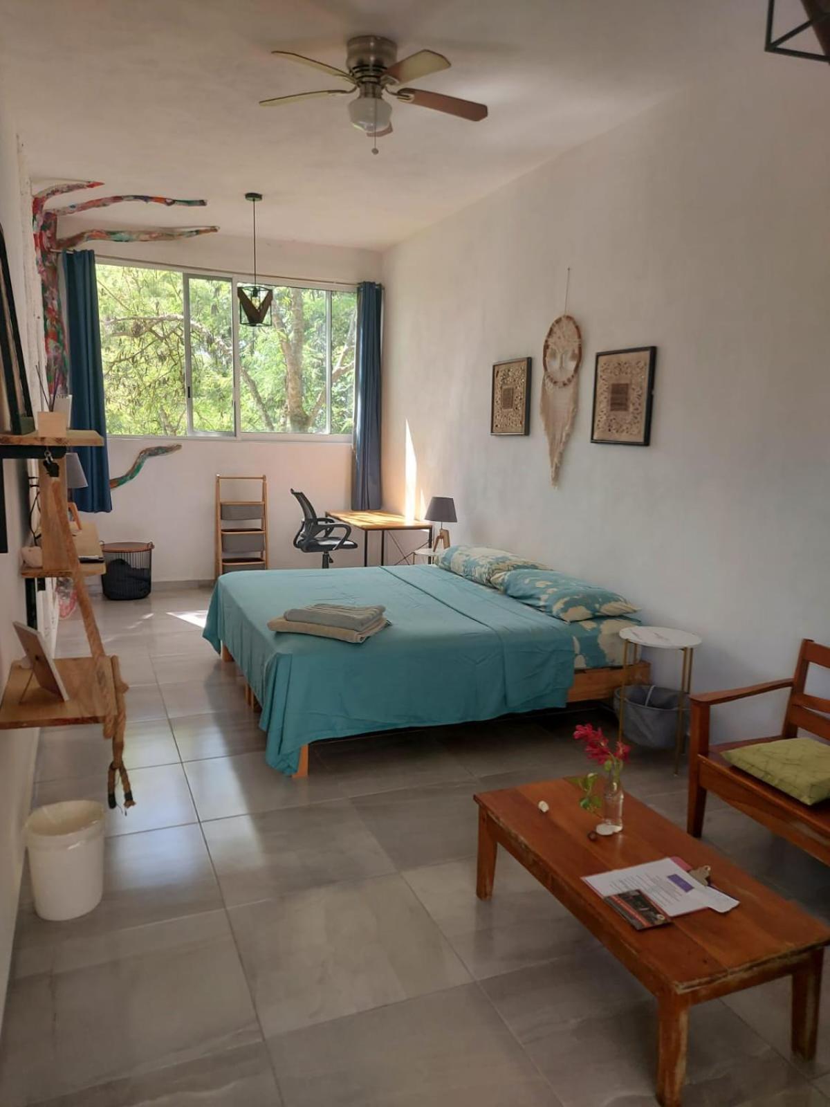 Camino Del Alma Apartments 巴卡拉尔 外观 照片